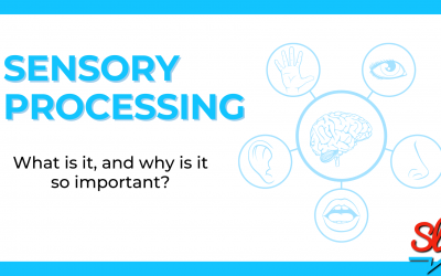 Sensory Processing: What is it and Why is it Important?