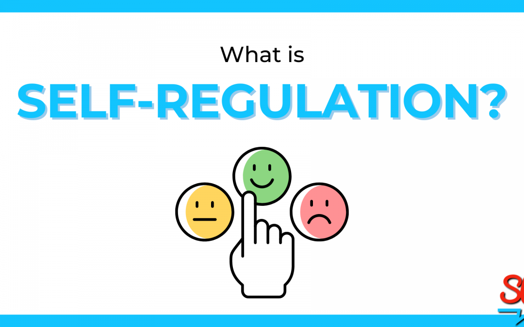 What is Self-Regulation?