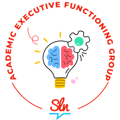 Speech Language Network - Academic Executive Functioning Group for Teens & Young Adults
